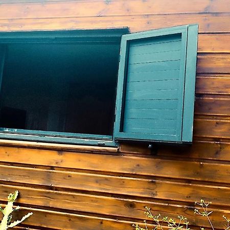 Tiny House Les Cactus - Bungalow St Gilles Les Hauts Saint-Paul Eksteriør bilde
